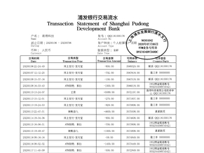 四川个人薪资流水制作